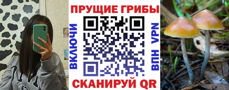 Галлюциногенные грибы Magic Shrooms  Высоцк 