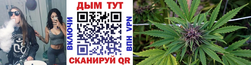 Каннабис семена  это формула  Высоцк 